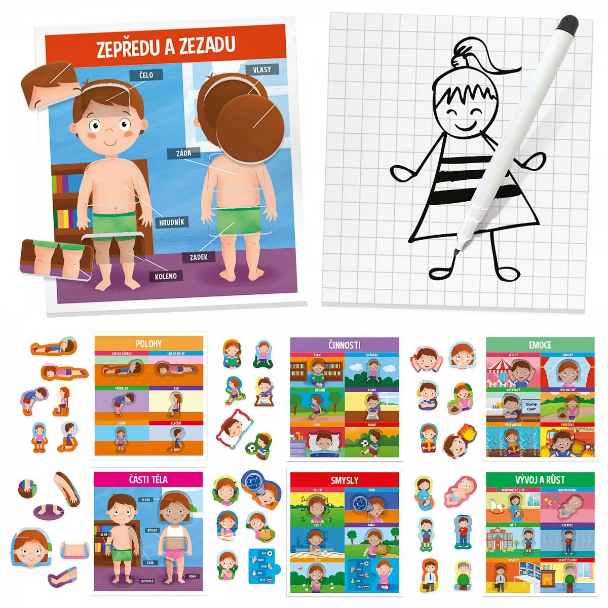 HEADU Montessori: Naše tělo